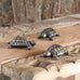 Cast Metal Turtle - Antique Brass