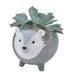 Hedgehog Planter