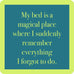 magical place coaster