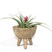 3.5inTerra-cotta Footed Planter