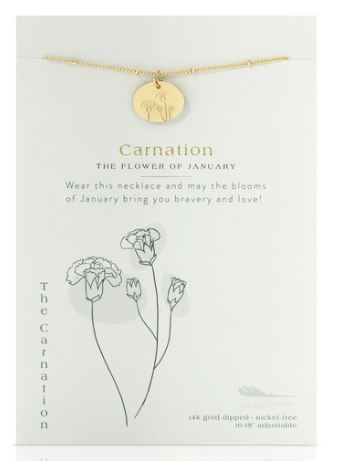 Birth Flower January Carnation