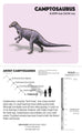 Dinosaurs