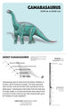 Dinosaurs