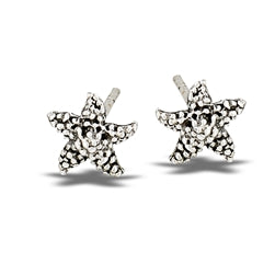 Small Starfish Silver Stud