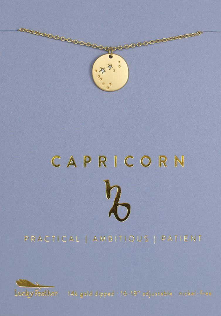 A Zodiac Necklace Capricorn by LuckyFeather is beautifully presented on a blue card, featuring the iconic Capricorn symbol and the words "Practical | Ambitious | Patient" in radiant gold. The necklace is "14k gold dipped" and assures a "Nickel free" experience, making it an ideal choice for individuals born under the Capricorn sign.