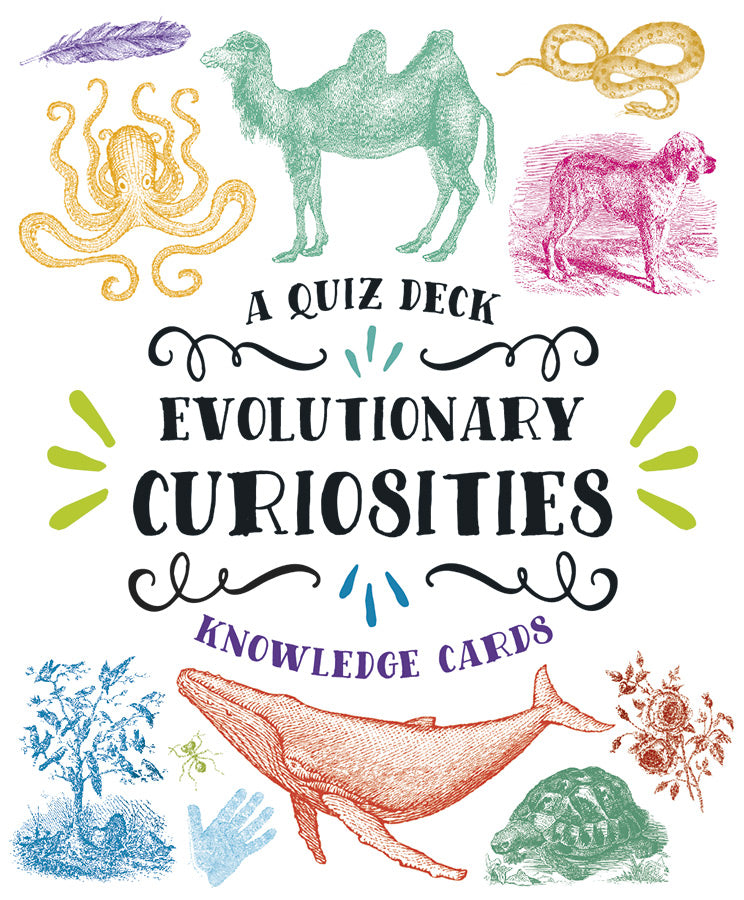 Evolutionary Curiosities Knowledge Cards