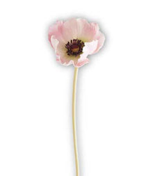 Real Touch Poppy Pink