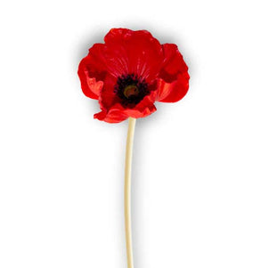 Real Touch Poppy Red