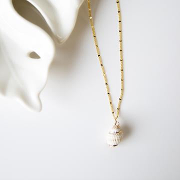 White Shell Necklace
