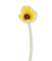 Real Touch Poppy Yellow